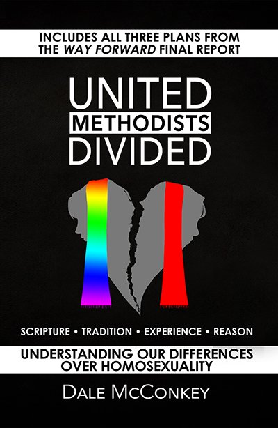 Sociologist Pastor Takes Impartial Look At Umc S Divide United Methodist Insight